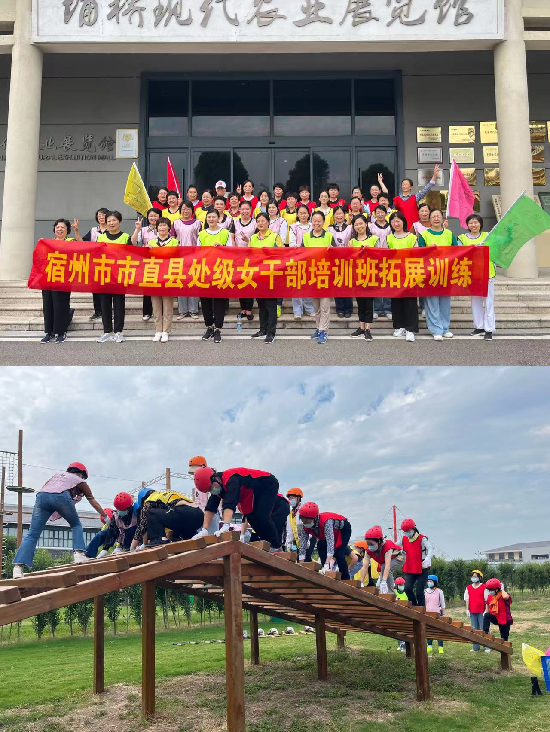 图片8_副本.png