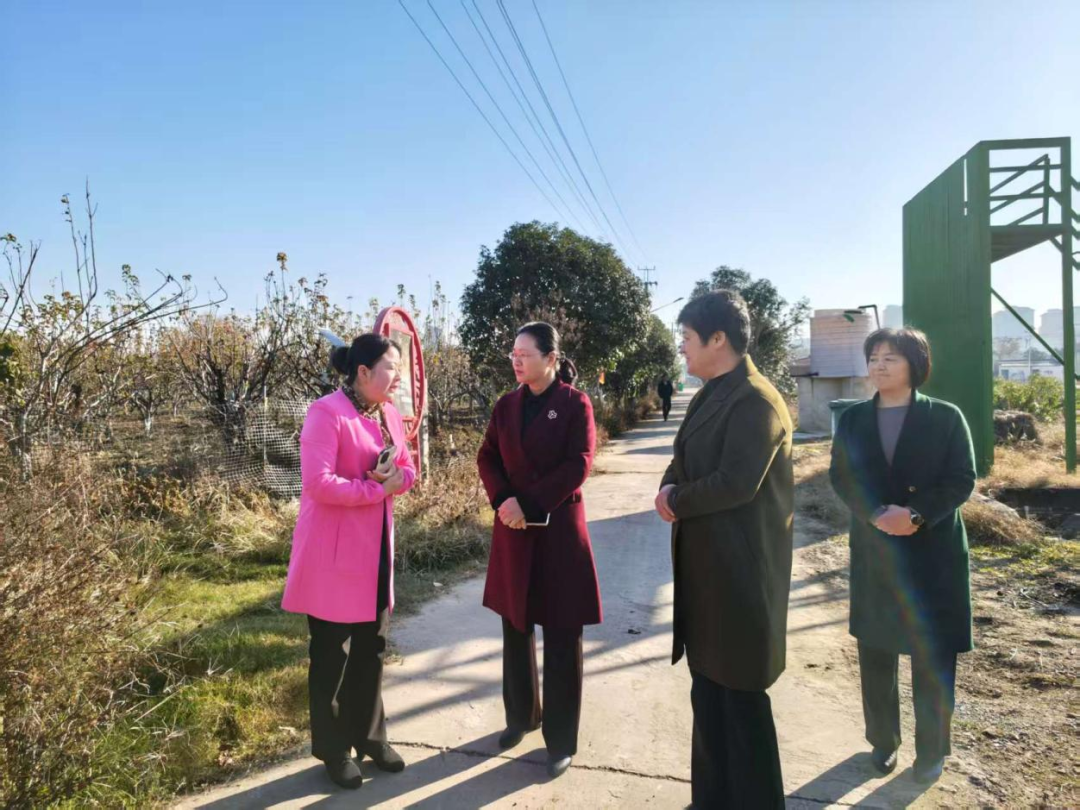 市妇联深入基层宣讲党的二十届四中全会精神...