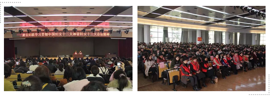 QQ截图20181126091253.png