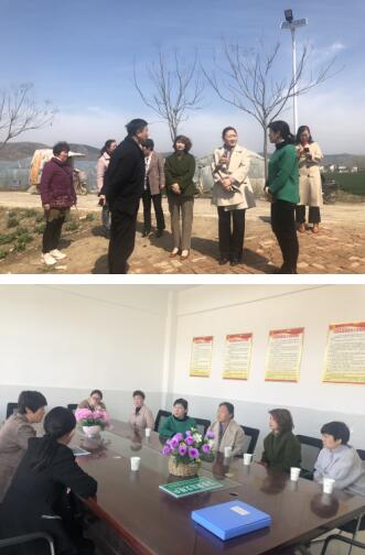 QQ截图20190325162129.jpg